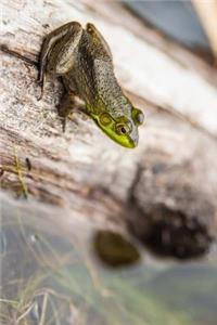 Common Frog on a Log Journal