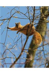 relaxed squirrel composition book