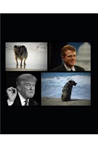 Juvia, Kennedy & the Trial and Cofession of Trump