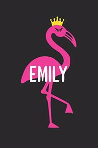 Emily's Notebook