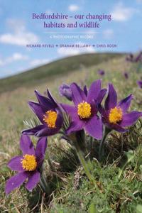 Bedfordshire - our changing habitats and wildlife