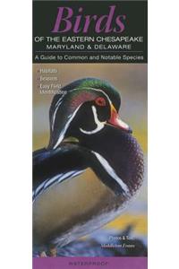 Birds of the Eastern Chesapeake: Maryland & Delaware