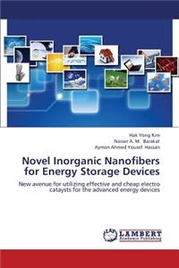 Novel Inorganic Nanofibers for Energy Storage Devices