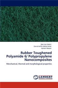 Rubber Toughened Polyamide 6/ Polypropylene Nanocomposites
