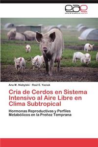 Cria de Cerdos En Sistema Intensivo Al Aire Libre En Clima Subtropical