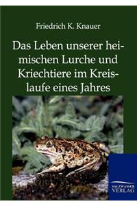 Das Leben Unserer Heimischen Lurche Und Kriechtiere Im Kreislaufe Eines Jahres