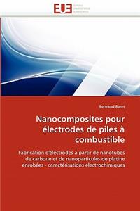 Nanocomposites Pour Électrodes de Piles À Combustible