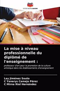 mise à niveau professionnelle du diplômé de l'enseignement