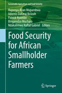 Food Security for African Smallholder Farmers