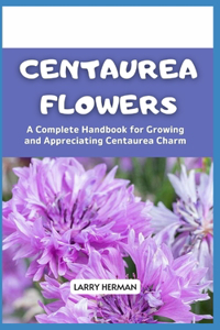 Centaurea Flowers