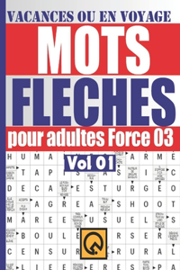 Vacances ou en voyage mots fleches pour adultes force 03 vol
