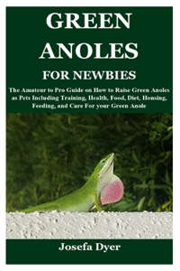 Green Anoles for Newbies