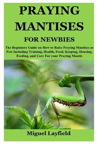 Praying Mantises for Newbies