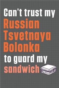 Can't trust my Russian Tsvetnaya Bolonka to guard my sandwich