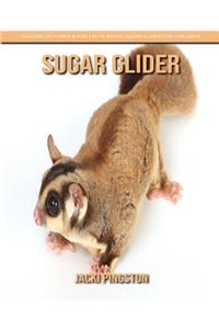 Sugar Glider