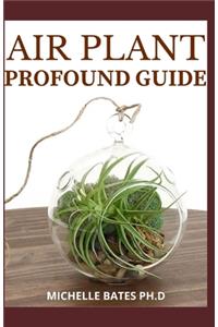 Air Plant Profound Guide