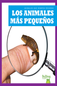Los Animales Más Pequeños (Smallest Animals)