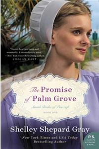 The Promise of Palm Grove