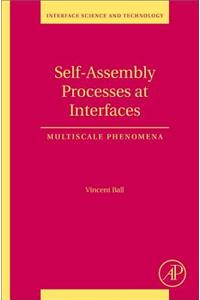 Self-Assembly Processes at Interfaces