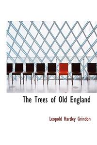 The Trees of Old England