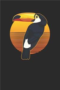Toucan
