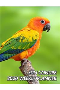 Sun Conure 2020 Weekly Planner