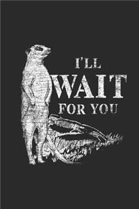 I'll Wait For You