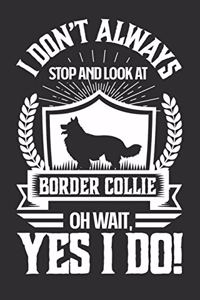 I Don't Always Stop and Look At Border Collie OH Wait, Yes I Do!