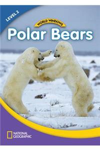 World Windows 2 (Science): Polar Bears