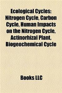 Ecological Cycles