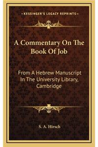 A Commentary on the Book of Job