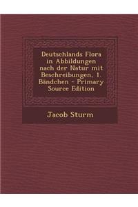 Deutschlands Flora in Abbildungen Nach Der Natur Mit Beschreibungen, 1. Bandchen - Primary Source Edition