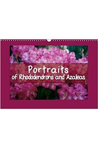 Portraits of Rhododendrons and Azaleas 2018