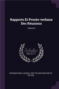 Rapports Et Procès-verbaux Des Réunions; Volume 6