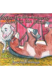 Why Do the Animals Sleep in the Barn?