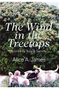 Wind in the Treetops
