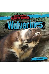 Wolverines