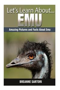 Emu: Amazing Pictures and Facts about Emu