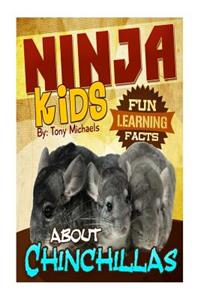Fun Learning Facts about Chinchillas