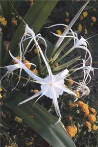 White Spider Lily Journal