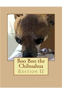 Boo Boo the Chihuahua