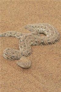 Puff Adder Snake Journal