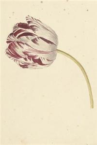 Pink and White Tulip Antique Botanical Art Journal