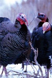 Winter Theme Journal Wild Turkeys