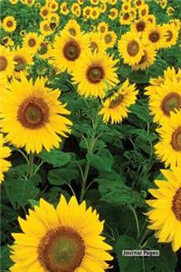 Journal Pages - Sun Flower Field