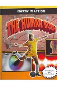 The Human Body