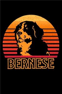 Bernese