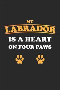 My Labrador is a heart on four paws