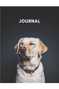 Journal