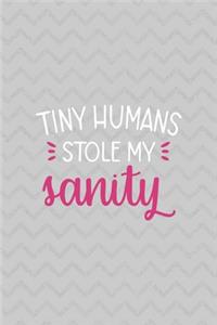 Tiny Humans Stole My Sanity